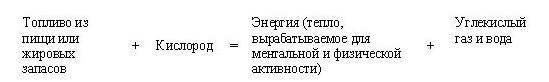 Сова была раньше дочкой пекаря. Ожирение, нервная анорексия и подавленная женственность Сова была раньше дочкой пекаря. Ожирение, нервная анорексия и подавленная женственность
