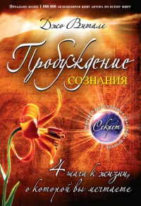 Пробуждение сознания. 4 шага к жизни, о которой вы мечтаете - Джо Витале - Читать книги онлайн | Слушать аудиокниги онлайн | Электронная библиотека books-lib.com