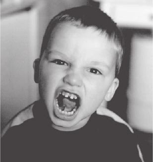 Воспитание без крика и истерик. Простые решения сложных проблем Воспитание без крика и истерик. Простые решения сложных проблем