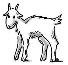 Фитнес для ума Фитнес для ума