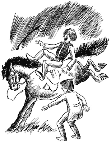 Черный красавчик Черный красавчик