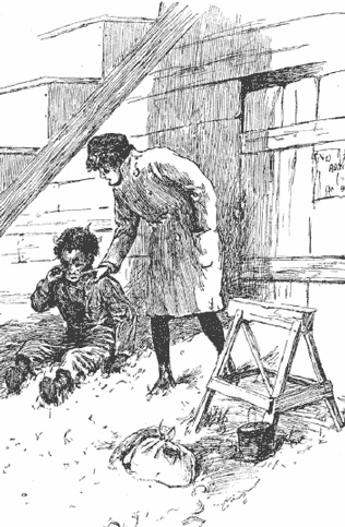 Приемыш черной Туанетты Приемыш черной Туанетты