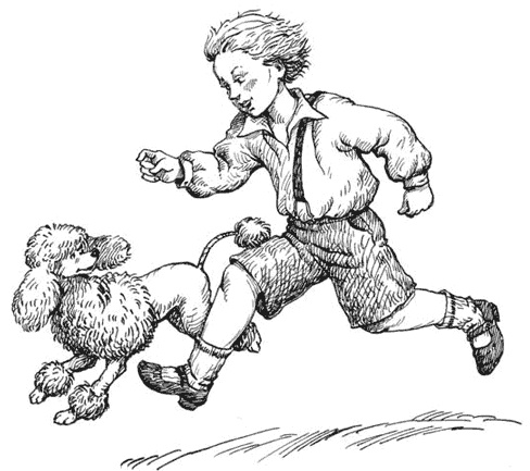 Чудесное лето Чудесное лето