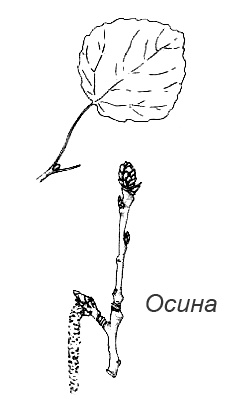 Походная книга Муми-тролля Походная книга Муми-тролля