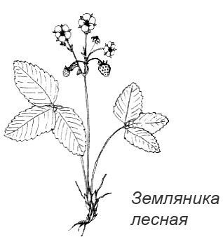 Походная книга Муми-тролля Походная книга Муми-тролля