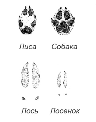 Походная книга Муми-тролля Походная книга Муми-тролля