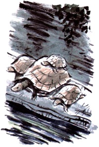 Под крыльцом Под крыльцом