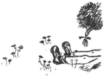 Президент и его министры Президент и его министры