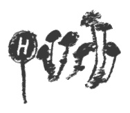 Президент и его министры Президент и его министры