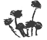 Президент и его министры Президент и его министры