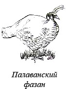 Остров, одетый в джерси Остров, одетый в джерси