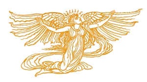 Книга чудес Книга чудес