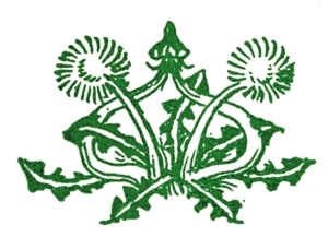 Книга чудес Книга чудес