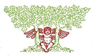 Книга чудес Книга чудес