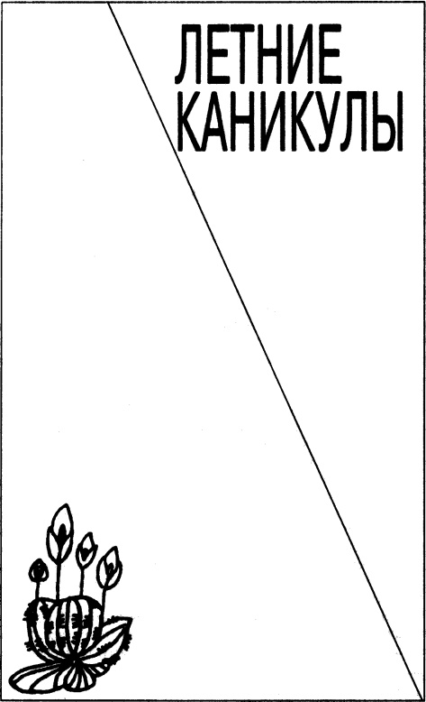 Е-18. Летние каникулы Е-18. Летние каникулы