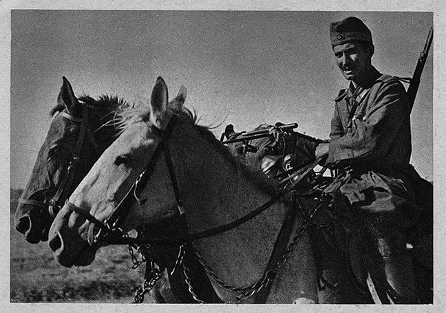 Щит и меч Кенигсберга. Альбом Щит и меч Кенигсберга. Альбом