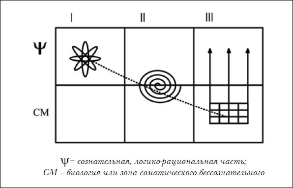 Психосоматика Психосоматика