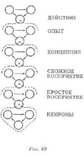 Водная логика Водная логика