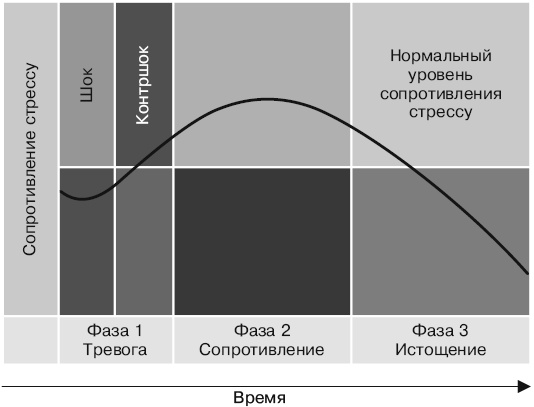 Психология лжи и обмана. Как разоблачить лжеца Психология лжи и обмана. Как разоблачить лжеца