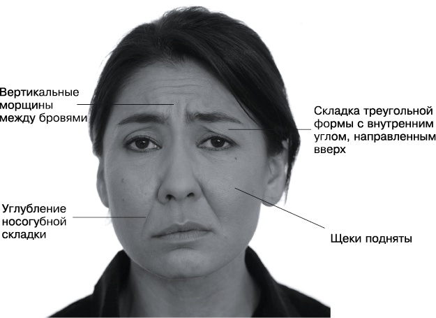 Психология лжи и обмана. Как разоблачить лжеца Психология лжи и обмана. Как разоблачить лжеца