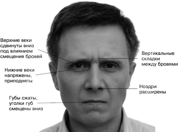 Психология лжи и обмана. Как разоблачить лжеца Психология лжи и обмана. Как разоблачить лжеца