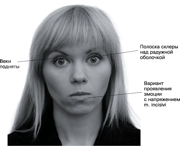 Психология лжи и обмана. Как разоблачить лжеца Психология лжи и обмана. Как разоблачить лжеца