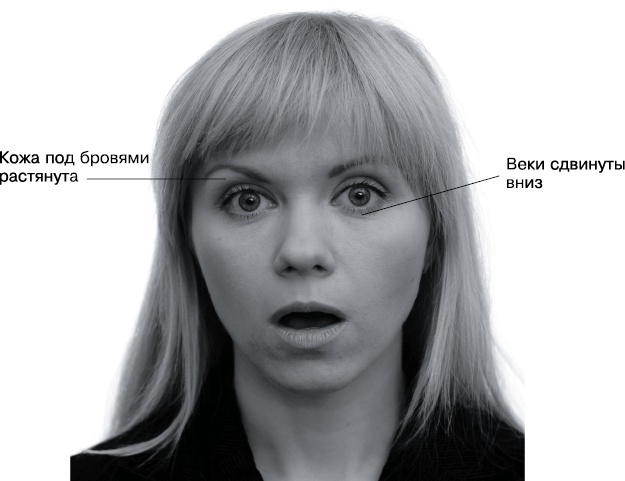 Психология лжи и обмана. Как разоблачить лжеца Психология лжи и обмана. Как разоблачить лжеца