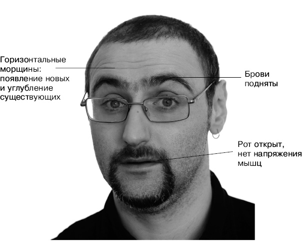 Психология лжи и обмана. Как разоблачить лжеца Психология лжи и обмана. Как разоблачить лжеца