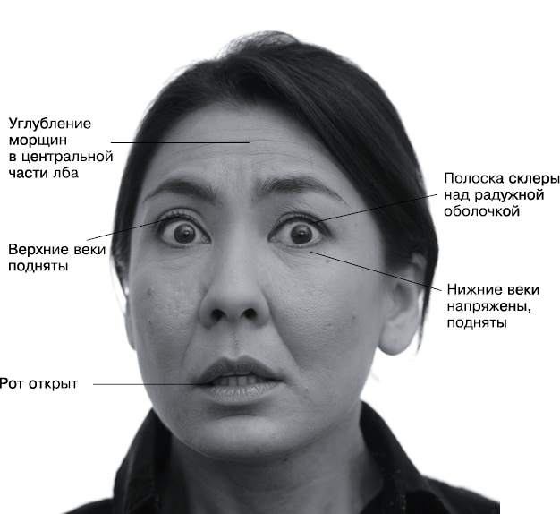 Психология лжи и обмана. Как разоблачить лжеца Психология лжи и обмана. Как разоблачить лжеца