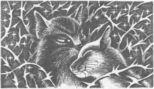 Коты-воители. Главная надежда Коты-воители. Главная надежда