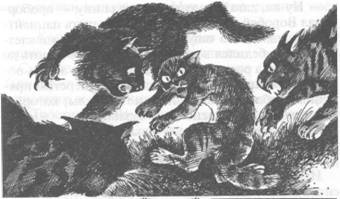 Коты-воители. Главная надежда Коты-воители. Главная надежда