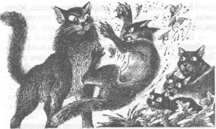 Коты-воители. Главная надежда Коты-воители. Главная надежда
