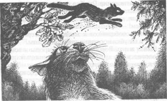 Коты-воители. Главная надежда Коты-воители. Главная надежда