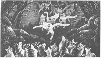 Коты-воители. Главная надежда Коты-воители. Главная надежда