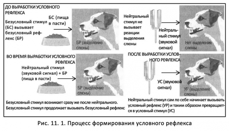 Классические случаи в психологии Классические случаи в психологии