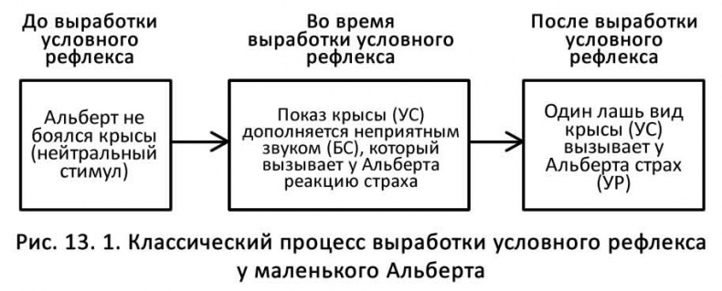Классические случаи в психологии Классические случаи в психологии