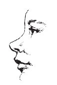 Лицо - зеркало души. Физиогномика для всех Лицо - зеркало души. Физиогномика для всех