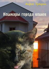 Кошмары города кошек - Андрей Буторин - Читать книги онлайн | Слушать аудиокниги онлайн | Электронная библиотека books-lib.com