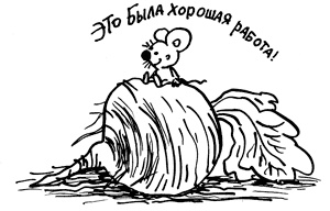 Простая правильная жизнь Простая правильная жизнь
