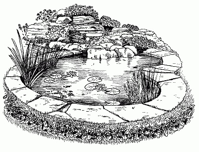 Вода в доме и на участке Вода в доме и на участке