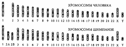 Гармоничное развитие вашего ребенка Гармоничное развитие вашего ребенка