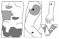 Гармоничное развитие вашего ребенка Гармоничное развитие вашего ребенка