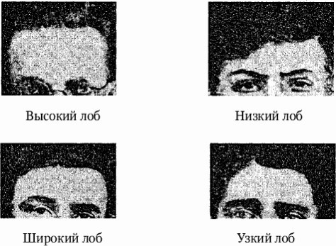 Как распознать преступника Как распознать преступника