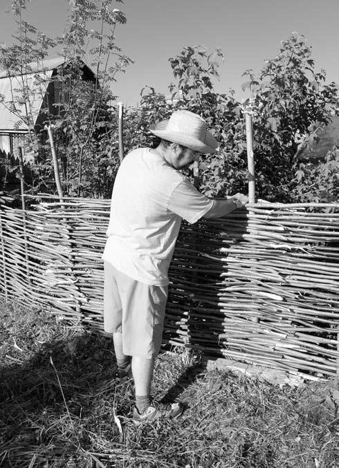 Забор, ограда, калитка на дачном участке. Строим своими руками Забор, ограда, калитка на дачном участке. Строим своими руками