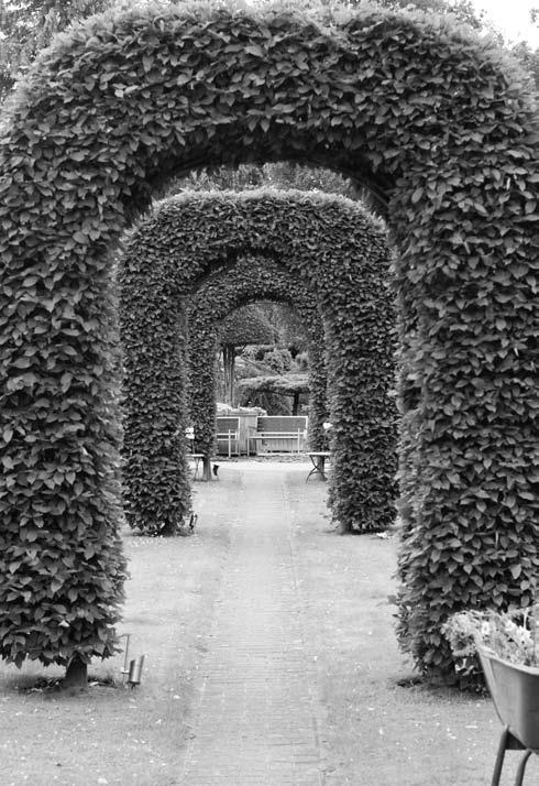 Забор, ограда, калитка на дачном участке. Строим своими руками Забор, ограда, калитка на дачном участке. Строим своими руками