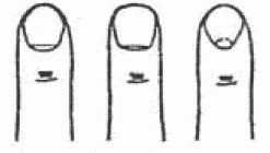 Покажи мне свою сумочку – и я скажу, кто ты. 32 фокуса визуальной психодиагностики