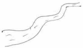 Покажи мне свою сумочку – и я скажу, кто ты. 32 фокуса визуальной психодиагностики Покажи мне свою сумочку – и я скажу, кто ты. 32 фокуса визуальной психодиагностики