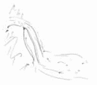 Покажи мне свою сумочку – и я скажу, кто ты. 32 фокуса визуальной психодиагностики Покажи мне свою сумочку – и я скажу, кто ты. 32 фокуса визуальной психодиагностики