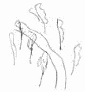 Покажи мне свою сумочку – и я скажу, кто ты. 32 фокуса визуальной психодиагностики Покажи мне свою сумочку – и я скажу, кто ты. 32 фокуса визуальной психодиагностики