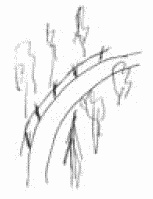 Покажи мне свою сумочку – и я скажу, кто ты. 32 фокуса визуальной психодиагностики Покажи мне свою сумочку – и я скажу, кто ты. 32 фокуса визуальной психодиагностики